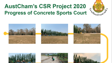 Progress of CSR Project-011