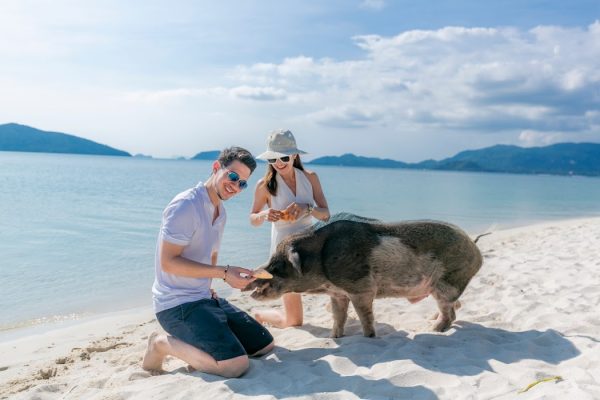 VNB_SAMUI0858 VNB_SAMUI0858