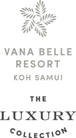 Vana Belle Logo PNG
