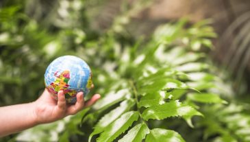 close-up-child-s-hand-holding-globe-ball-front-plant