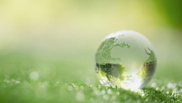 Close up of crystal globe resting on grass in a forest - environment concept