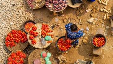 Lanscape,Of,A,Typical,African,Market